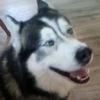 n0t_samuel6969 - @samuelwinters84 - TikTok