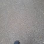 Samuel Wittmann - Facebook