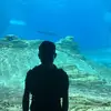 Wong - @samuelwong5523 - TikTok