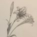 Samuel Wong - Facebook