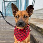 Samuel P Woodall - @samuelpwoodall - Instagram