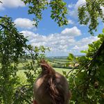 samuel woolford - @swoolford2005 - Instagram