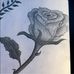 Sam Woolsey - Facebook