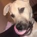 Samuel Wright - Facebook