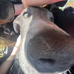 Sam Marlow-Wrigley - Facebook