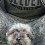 Samuel Wyatt - @samuelwyatt6071 - Instagram