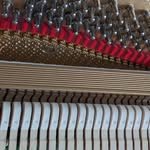 Samuel Yamamoto, RPT - @yamamotopianoservices - Instagram