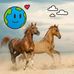 Samuel Yanez - Facebook