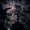samuel - @samueliyap1.0 - TikTok