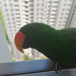 Samuel yap - @yappies93 - Instagram