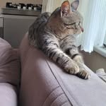 Sezer Sezen - @samuelyapmaxd - Instagram