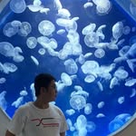 Samuel Yeh - @samuel.yeh.90 - Instagram