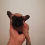 Samuel Yehor - @samuel_yehor - Instagram