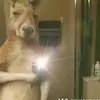 Samuel xd - @samuel.bast.yepes - TikTok