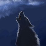 Samuel Yoder - @_sammy_yoder_ - Instagram
