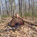 Samuel Yoder - Facebook