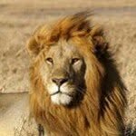 Samuel Yohannes - @samuelyohannes - Instagram