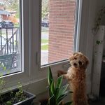Samuel Yoo - @samjbyoo - Instagram