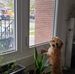 Samuel Yoo - Facebook