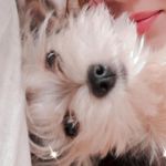 Samuel - @samuel_york.34 - Instagram