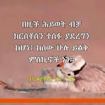 Samuel Yonas - Facebook
