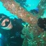 Samuel Yuen - @samuel.yuen.diver - Instagram
