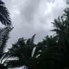 Samuel Zacarias - @samuelzacarias126 - TikTok