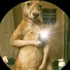 Samuel Zamora - @samuel_zamora_14 - TikTok