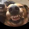 morenito saoco - @samuelzarzuelasil - TikTok