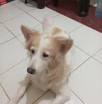 Sam Zurzuela - Facebook