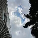 Samuel Zeng - @samuel7zeng - Instagram