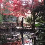 Samuel Zeng - @sa.muel2007 - Instagram