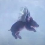 Samuel Zeng - @yong_he_zeng_ - Instagram
