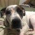 Samuel Zook - Facebook