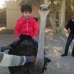 @samy_george - Instagram