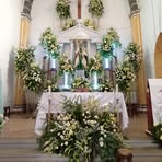 Comite San Jose Monte Blanco - Facebook