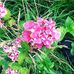 San Morris - Facebook