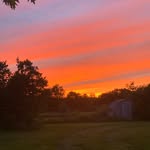 Sandy Kuhnert Morris - @sanmorris06 - Instagram