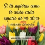 San Quintero - @san666110 - Instagram