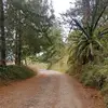 Sandrami - @sanquintero21 - TikTok
