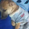 lunita 🌜 - @sanvela06 - TikTok