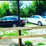 sanvel_kievskii_777 - @sanvel_arlovskii_ - Instagram