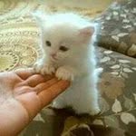 San Yoon Tin - @aungphonemyint927 - Instagram