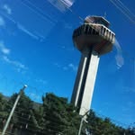 San Zhen - @san.zhen.754 - Instagram