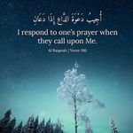 Sana Alam - @sanaaa_31 - Instagram