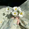 Sana Azmat - @sana.azmatali - TikTok