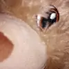 SANA Brown - @sana.brown0 - TikTok