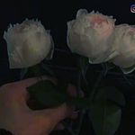 Sana chaudry - @sana_ch89 - Instagram