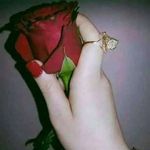 Sana Chaudry - @san.arasool - Instagram