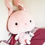 Sana  Chen - @chenyun.sana - Instagram